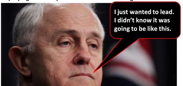 Malcom Turnbull - leader of dimwits & charlatans